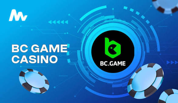 Unlocking the Potential of the Official BC App A Comprehensive Guide